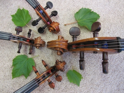 4 Streichinstrumente