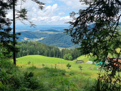 Panoramen mit Gletschern und Viertausendern