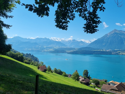 Wandergruppe - Panoramaweg Südhang Thunersee
