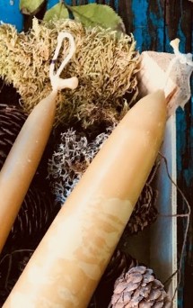 zwei Kerzen aus Honigwachs auf weihnachtlichem Dekor