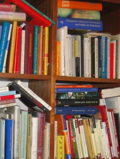 Viele Bücher in einem Büchergestell