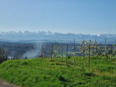 Alte Pfade und Mühlen - Von Allenlüften entlang «Allenwassern» nach Laupen
