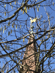 Kirchenfest im Spiegel