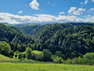 Wandergruppe - Herbstbummel zum «hintersten Haus von Köniz»