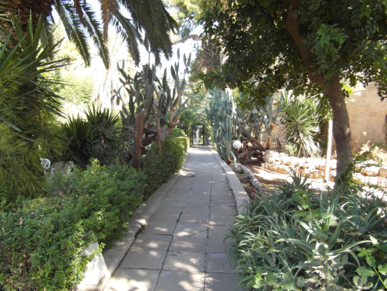 Gottesdienst mit Amtseinsetzung von Pfarrerin Lara Kneubühler