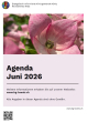 Monatsagenda Juni für den Kirchenkreis Mitte