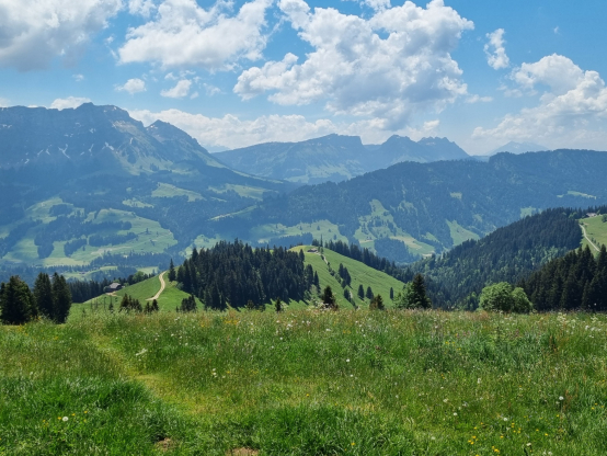 Wandergruppe- Wachthubel im Emmental, Dienstag, 11. August 2026